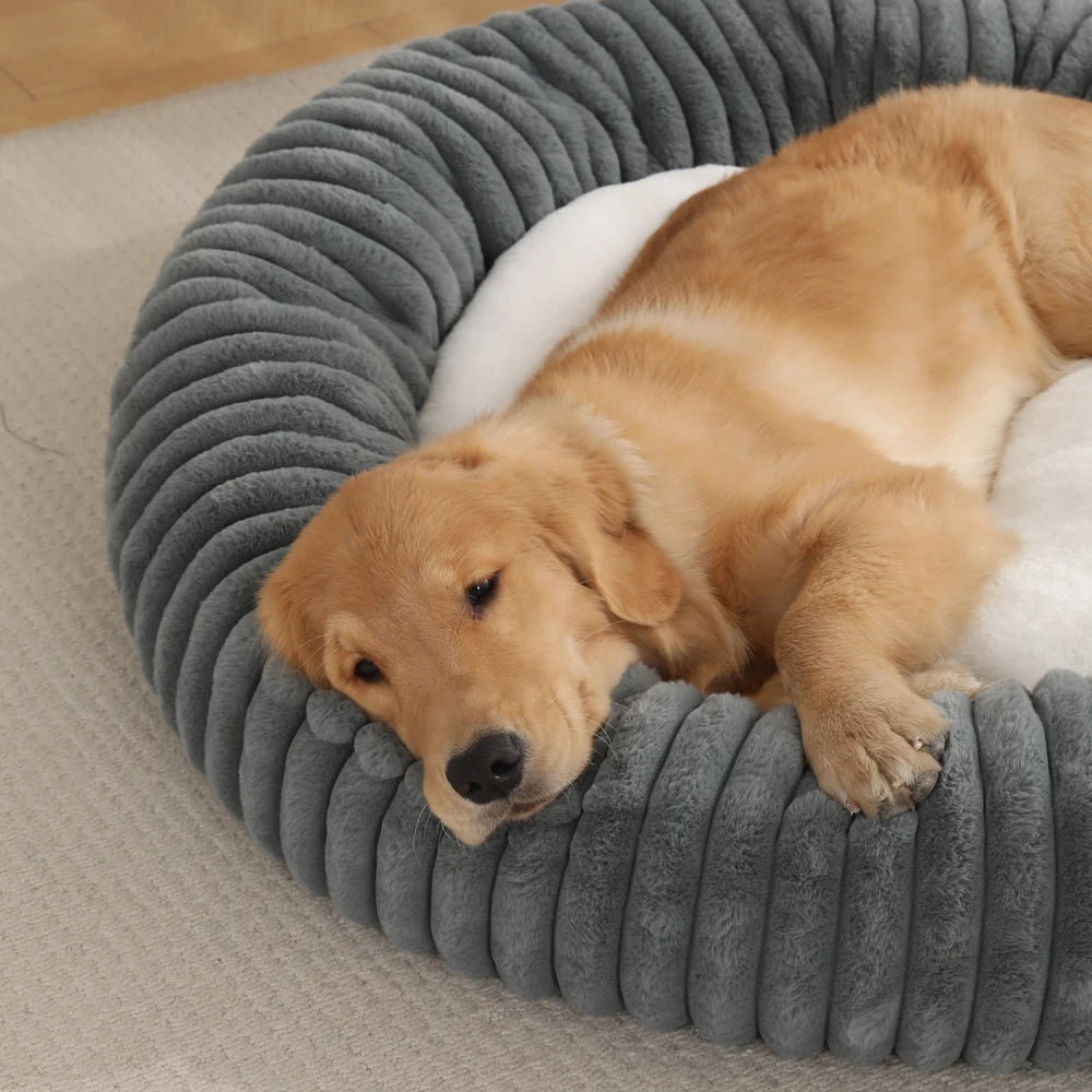 Nid Moelleux Confort pour Animaux